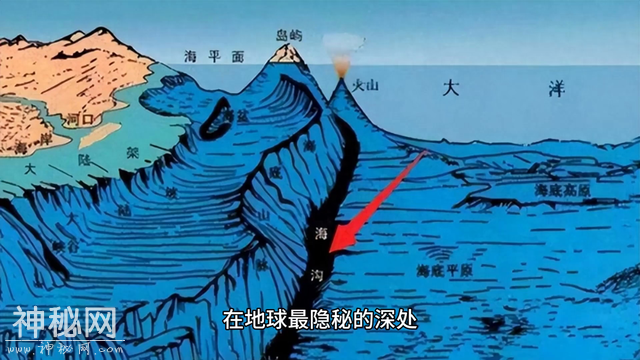 马里亚纳海沟未知生物：恐怖深渊的无尽奥秘-1.jpg