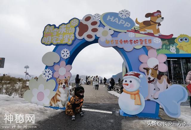 2025新春返川第三站：神农架神农顶，寻野人传说-28.jpg