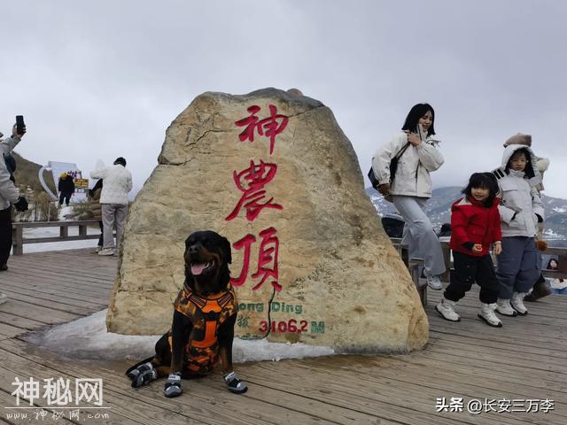 2025新春返川第三站：神农架神农顶，寻野人传说-29.jpg