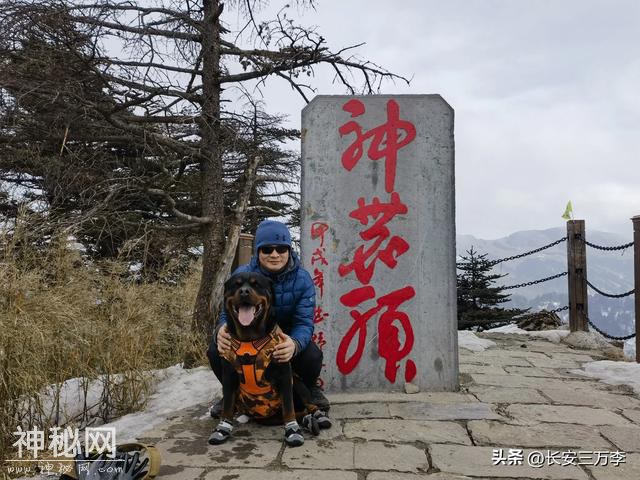 2025新春返川第三站：神农架神农顶，寻野人传说-30.jpg