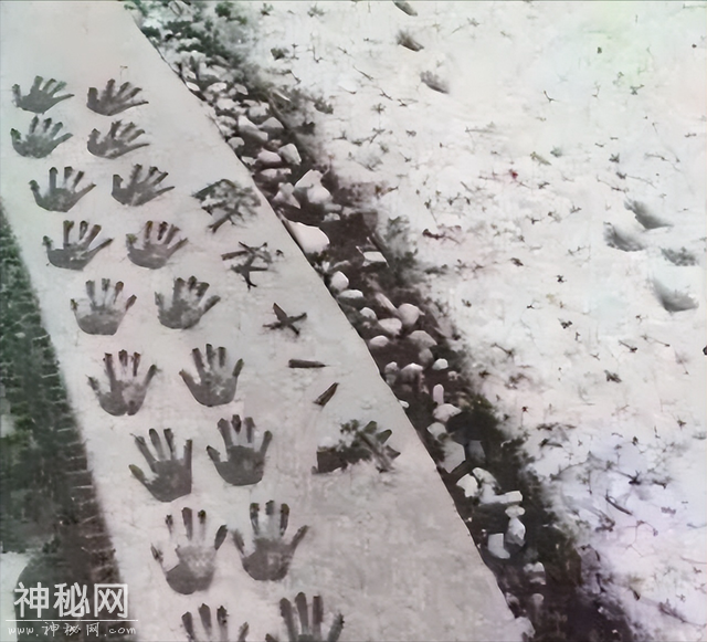 27张搞笑图片，带你笑翻天！自行车都撞不过，汽车厂家估计要哭了-11.jpg