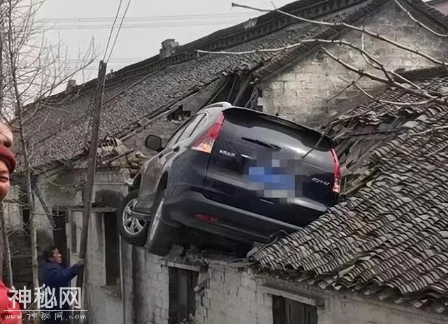 27张搞笑图片，带你笑翻天！自行车都撞不过，汽车厂家估计要哭了-14.jpg