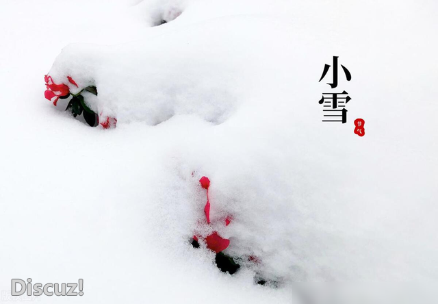 今日小雪，牢记：3吃、4怕、5忌讳、6习俗，什么时候下雪？-4.jpg