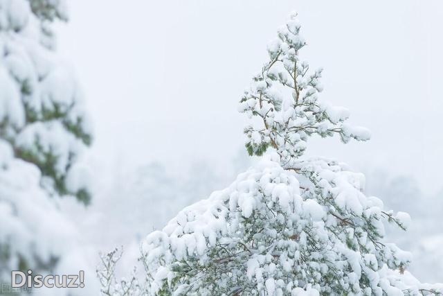 今日小雪，牢记：3吃、4怕、5忌讳、6习俗，什么时候下雪？-5.jpg