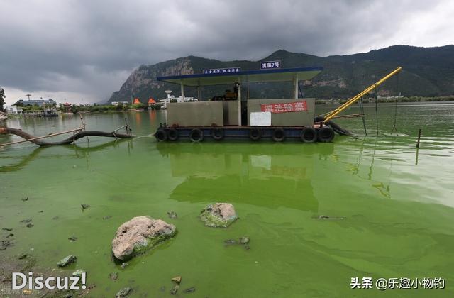 2008年，福建老板捞到未知生物，居民咬定是的怪物，专家也被吓到-10.jpg