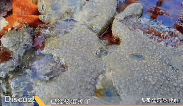 2008年，福建老板捞到未知生物，居民咬定是的怪物，专家也被吓到-13.jpg
