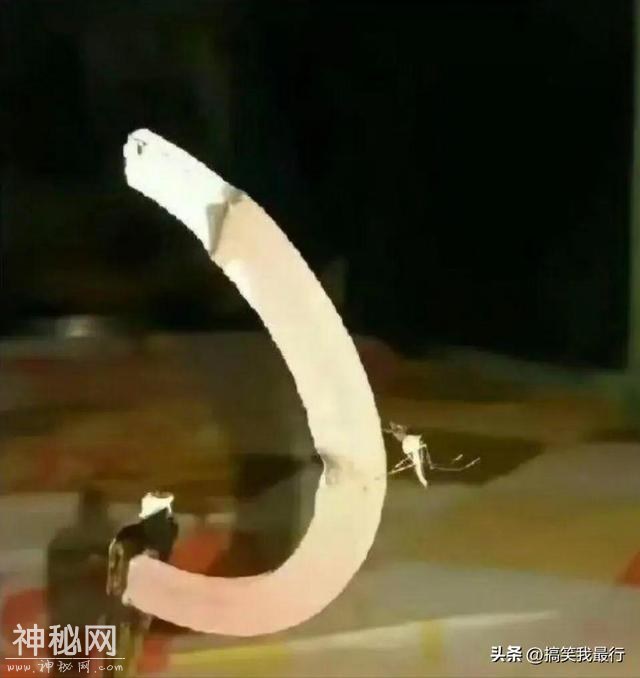 笑一笑，50张搞笑动图：请用一句话，证明你认识他！不许提姓名！-43.jpg