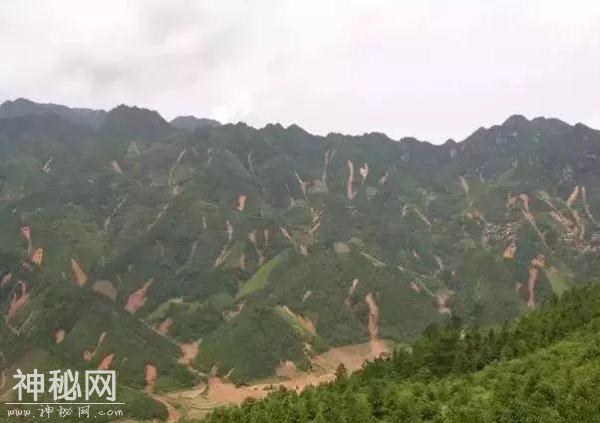 常见地质灾害发生有哪些前兆？怎么避险？-6.jpg