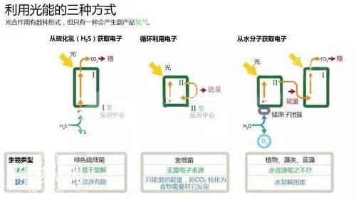 新知｜细菌与人类的前世今生-1.jpg