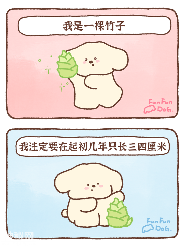 夜读丨“我发现，容易焦虑的人都有一个特征”-27.jpg