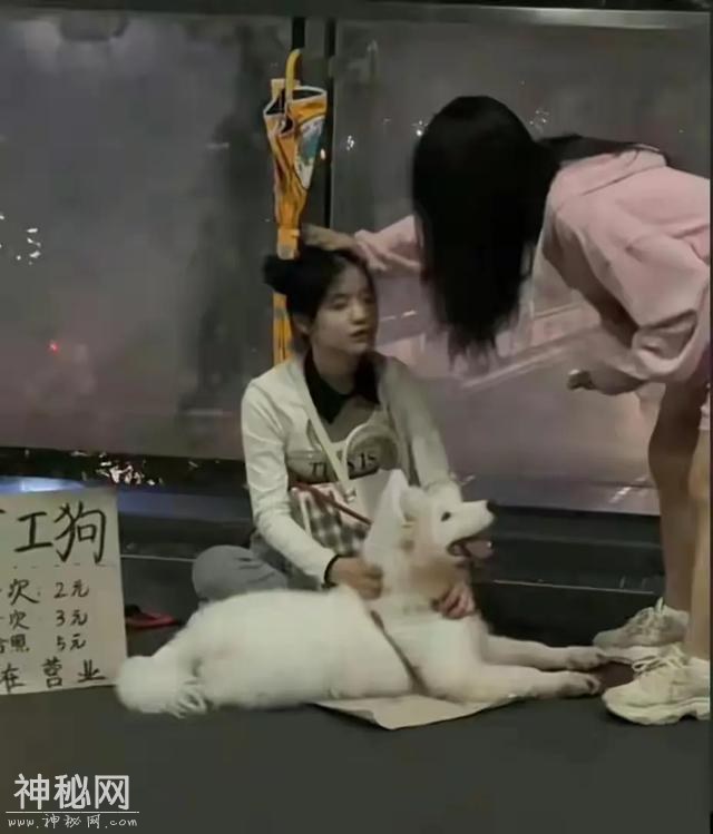 21张能让人嘴巴笑歪的搞笑图片，笑点低的人建议在家人陪同下观看-9.jpg