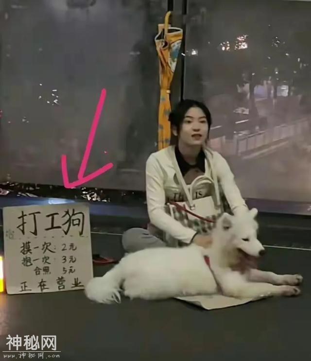 21张能让人嘴巴笑歪的搞笑图片，笑点低的人建议在家人陪同下观看-8.jpg
