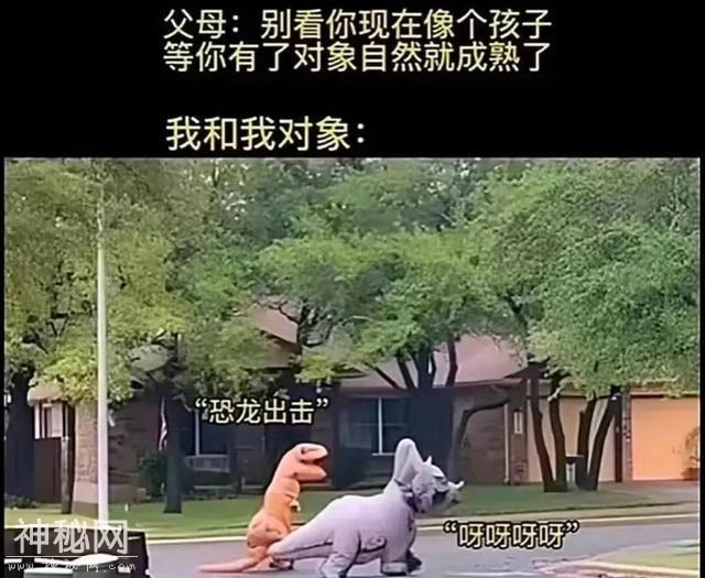 21张能让人嘴巴笑歪的搞笑图片，笑点低的人建议在家人陪同下观看-14.jpg