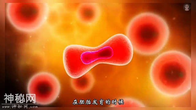 这些奇怪的变异生物你见过吗？-4.jpg