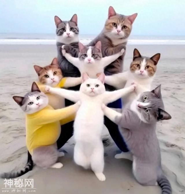 开心一刻 | 10个顶级笑话段子：个个笑点足，笑趴全场！-1.jpg