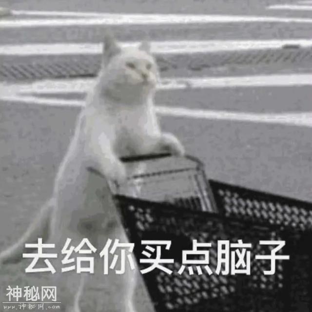 开心一刻 | 10个顶级笑话段子：个个笑点足，笑趴全场！-5.jpg