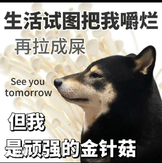 开心一刻 | 10个顶级笑话段子：个个笑点足，笑趴全场！-11.jpg