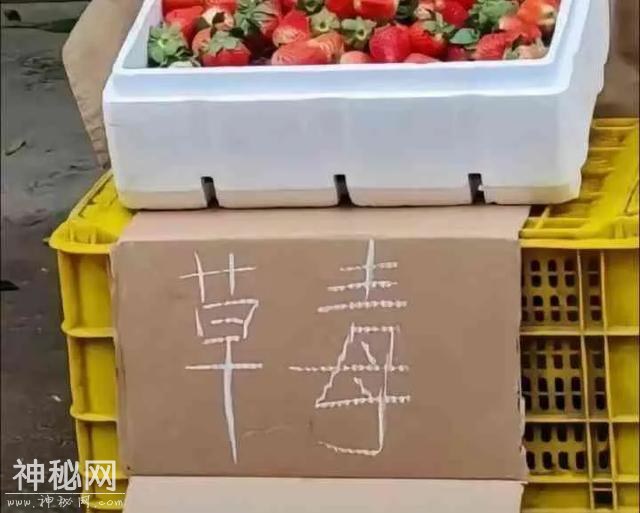 开心一刻 | 10个顶级笑话段子：个个笑点足，笑趴全场！-12.jpg