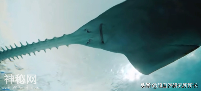 地球上真的有不会死的生物吗？它们是地球真正的原住民-2.jpg