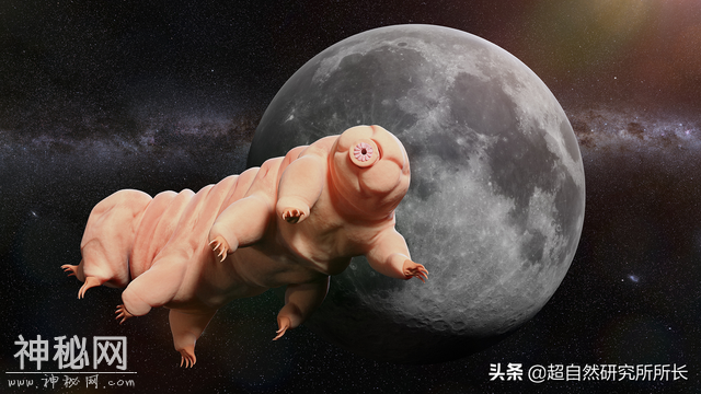 地球上真的有不会死的生物吗？它们是地球真正的原住民-19.jpg