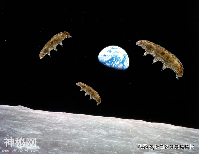 地球上真的有不会死的生物吗？它们是地球真正的原住民-21.jpg