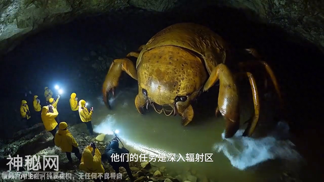 #未知生物-1.jpg