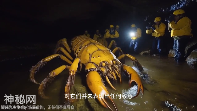 #未知生物-2.jpg