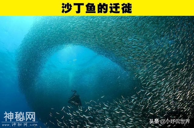 很少有人见过的10种奇妙的自然现象-1.jpg