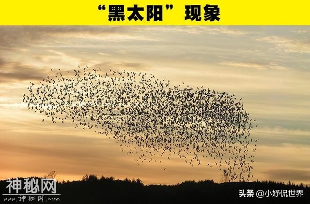 很少有人见过的10种奇妙的自然现象-3.jpg