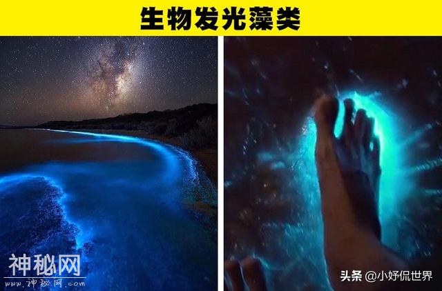 很少有人见过的10种奇妙的自然现象-9.jpg