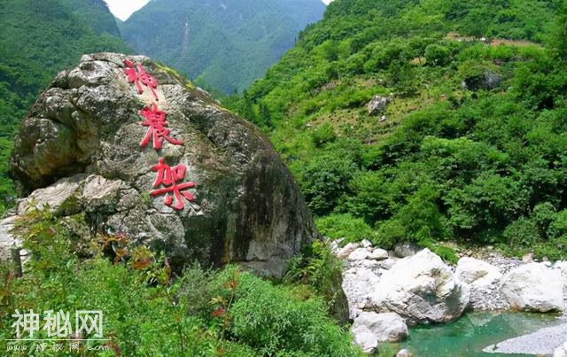 神农架为什么存在那么多“未知生物”？有人称看到了驴头狼-1.jpg