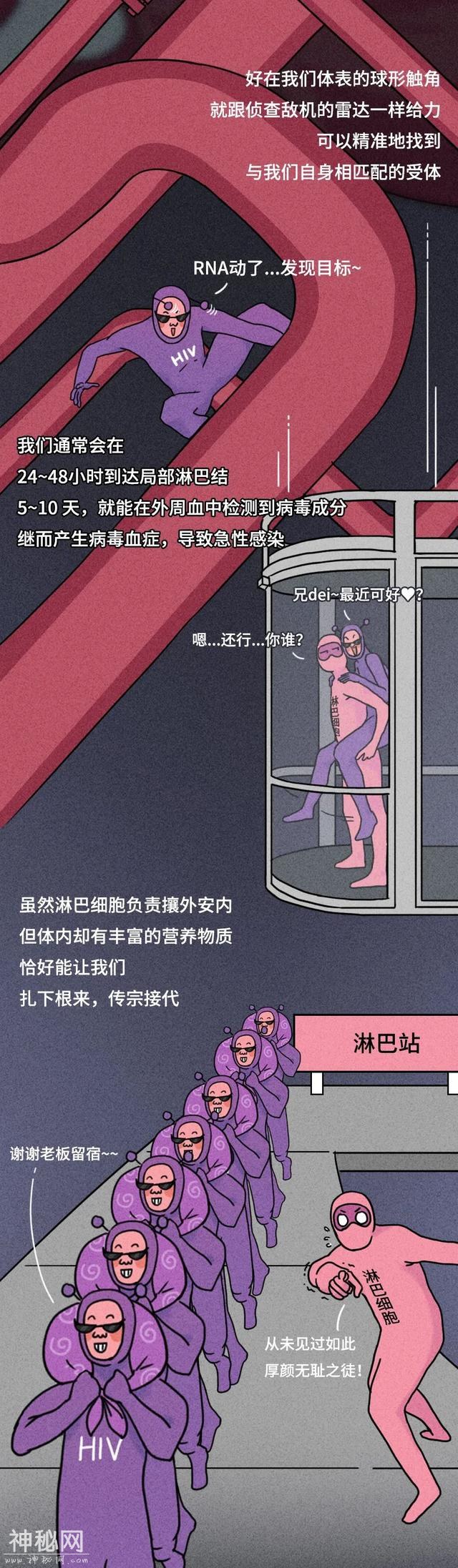 漫画科普：被这种病毒入侵，十年时间里它都干了些啥？-5.jpg