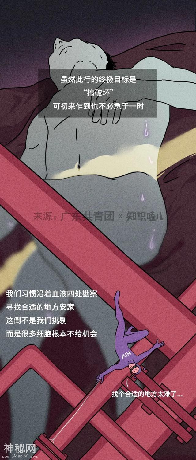 漫画科普：被这种病毒入侵，十年时间里它都干了些啥？-4.jpg