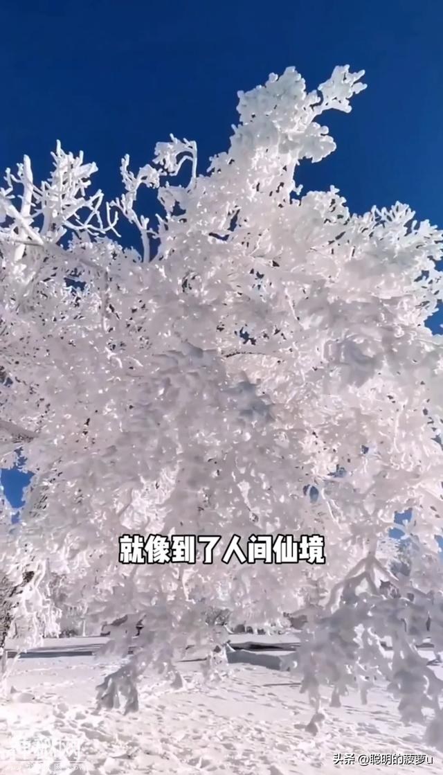 中国超级震撼的10个自然现象，你见过一个此生无憾。-10.jpg