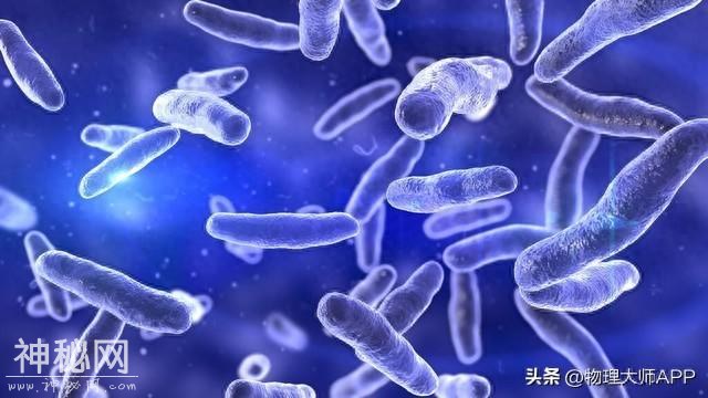 细菌真菌，快期末了，别还傻傻分不清楚！-1.jpg