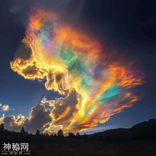 自然类：有趣的自然现象-2.jpg