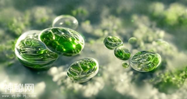揭秘！深海7000种未知生物大发现-1.jpg