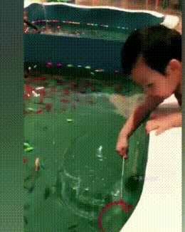 30张很是搞笑的图片，看完笑出了猪叫声，网友：笑不活了！-19.jpg