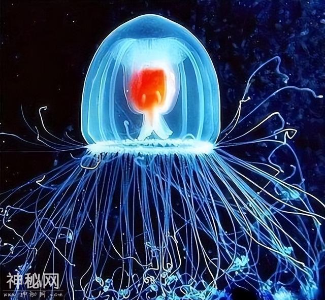 10个动物冷知识，看完眼界大开-5.jpg