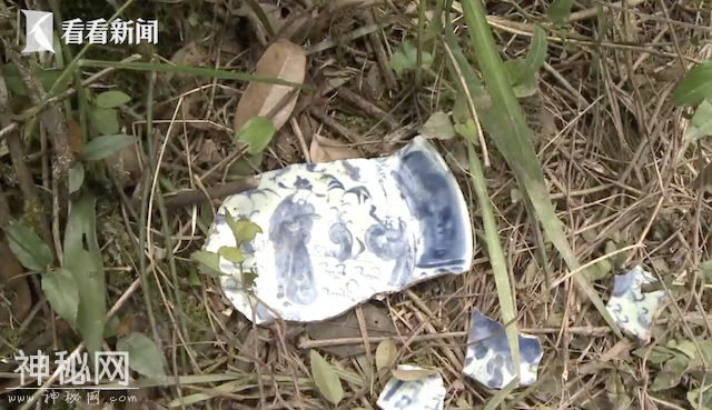 深山中百年古墓被盗 现场留下青花瓷残片-6.jpg