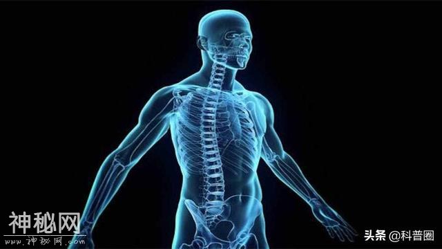 人体诡异的器官：皮肤为什么会莫名“发痒”？科学家至今无法解释-1.jpg