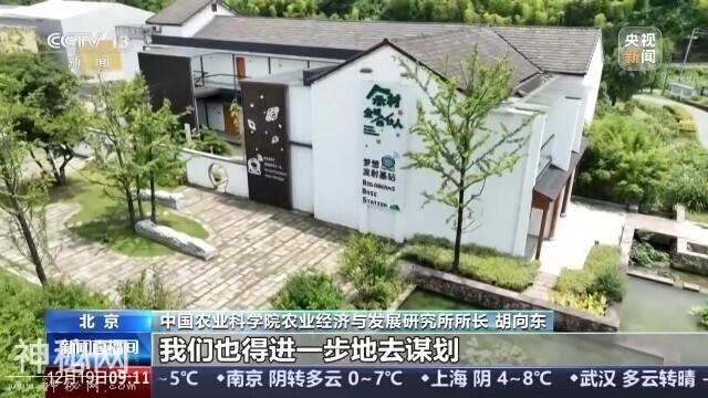 乡村全面振兴怎么做？农业科技如何发展？专家解读-5.jpg