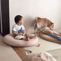 笑一笑，28组搞笑动图，狗子：怪不得贵呢，这茅子的味道确实不错-14.jpg