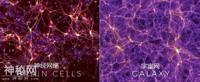 种种迹象表明，宇宙可能是一个巨大的神经网络，真是活的？-3.jpg