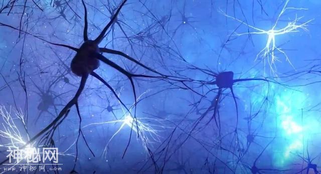 种种迹象表明，宇宙可能是一个巨大的神经网络，真是活的？-2.jpg