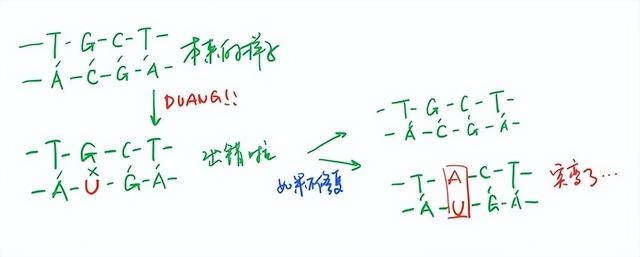 生物为什么不能永生？-3.jpg