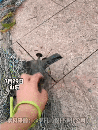 捞到“文物”了？山东男子撒网捕到奇怪东西，很像古代喝酒的杯子-2.jpg
