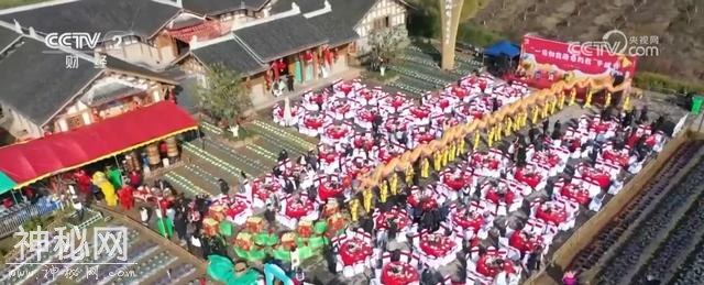 杀年猪、吃刨汤、包雪饺 各地特色民俗“拉满”新春年味儿-2.jpg