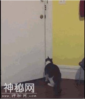 小伙亲身经历，灵异事件“亲爱的大卫”，噩梦邪灵出现在现实中？-19.jpg