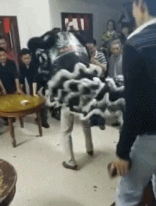 笑一笑，53张搞笑动图：他到现在，都还没意识到他拿了个啥吧！-21.jpg